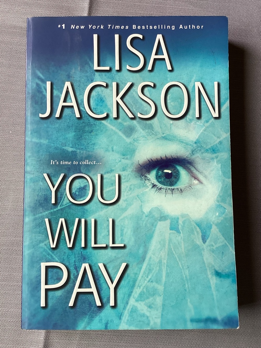 2/$15 You Will Pay by Lisa Jackson Psychological Thriller Book